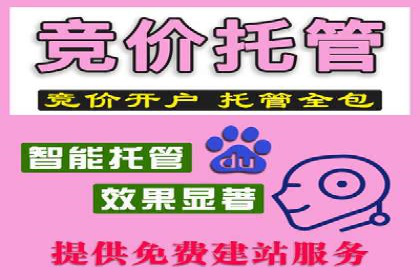 高效SEM托管公司案例对比分析